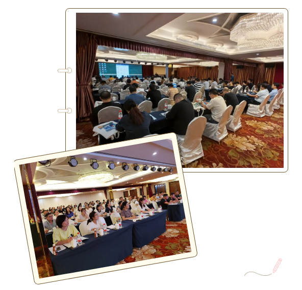 1692587822172320.png 1692587815996.png